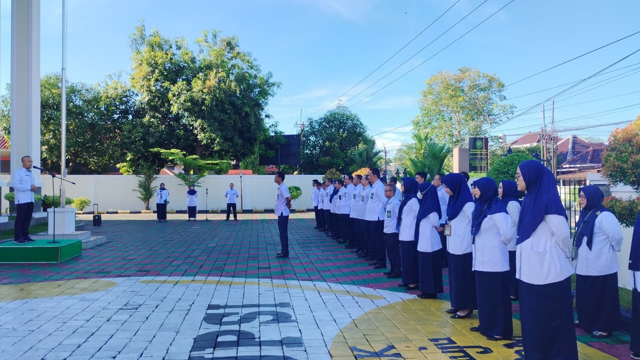 apelakhir